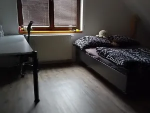 Dražba rodinného domu, Skalice u České Lípy, 180 m2