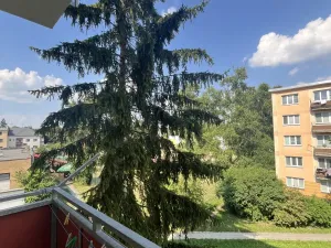 Pronájem bytu 3+1, Olomouc - Nová Ulice, U kovárny, 65 m2