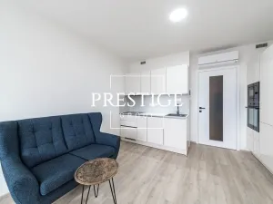 Pronájem bytu 1+kk, Praha - Žižkov, Šrámkové, 36 m2