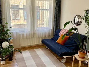 Prodej bytu 2+kk, Praha - Žižkov, Dalimilova, 50 m2