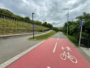 Prodej bytu 2+kk, Praha - Žižkov, Dalimilova, 50 m2