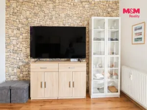 Pronájem bytu 1+kk, Brno - Slatina, Zlínská, 29 m2