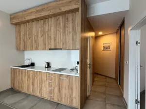 Prodej bytu 2+kk, Dolní Morava, 44 m2