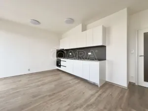 Pronájem bytu 1+kk, Brno - Ponava, Střední, 37 m2