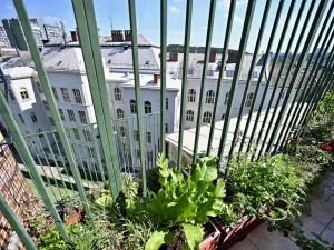 Prodej atypického bytu, Praha - Vršovice, Minská, 320 m2