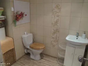 Prodej bytu 1+1, Frýdek-Místek - Frýdek, El. Krásnohorské, 37 m2