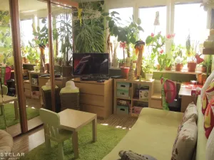 Prodej bytu 1+1, Frýdek-Místek - Frýdek, El. Krásnohorské, 37 m2