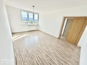 Prodej bytu 1+1, Frýdek-Místek - Frýdek, El. Krásnohorské, 37 m2