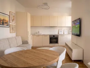 Prodej bytu 2+kk, Praha - Žižkov, Kaplířova, 43 m2