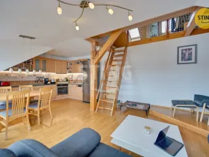 Prodej rodinného domu, Pardubice, Ve Lhotkách, 340 m2