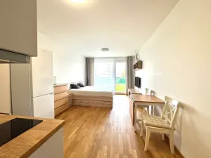 Pronájem bytu 1+kk, Praha - Vysočany, Kolbenova, 36 m2
