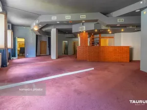 Pronájem obchodního prostoru, Plzeň - Východní Předměstí, Koterovská, 217 m2