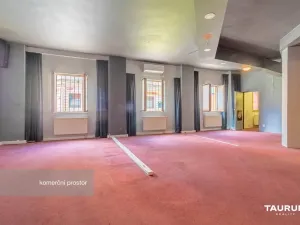 Pronájem obchodního prostoru, Plzeň - Východní Předměstí, Koterovská, 217 m2