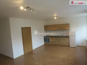 Pronájem bytu 1+kk, Poděbrady - Poděbrady III, Lidická, 47 m2