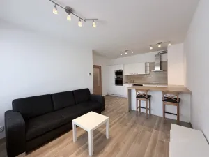 Pronájem bytu 2+kk, Brno - Žebětín, Chudčická, 49 m2