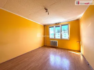 Pronájem bytu 1+1, Sokolov, Mánesova, 37 m2