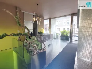 Pronájem bytu 2+kk, Praha - Žižkov, Prokopova, 66 m2