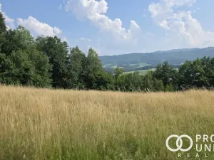 Prodej pole, Rožnov pod Radhoštěm, Hážovice, 6323 m2