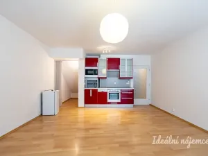 Pronájem bytu 1+kk, Praha - Vysočany, Skloněná, 44 m2