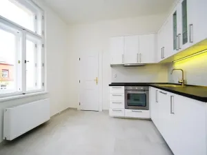Pronájem bytu 1+1, Praha - Vinohrady, Mánesova, 47 m2