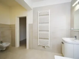 Pronájem bytu 1+1, Praha - Vinohrady, Mánesova, 47 m2