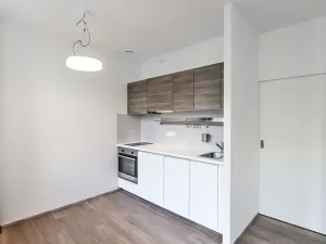 Pronájem bytu 1+kk, Praha - Vinohrady, Lucemburská, 30 m2