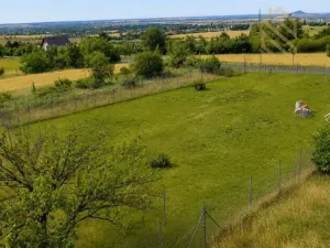 Prodej sadu/vinice, Žitenice, Skalická, 933 m2