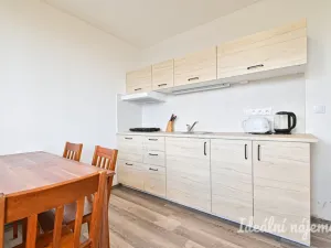 Pronájem bytu 2+1, Brno, Třískalova, 51 m2