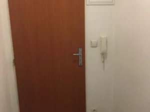 Pronájem bytu 1+kk, Praha - Vysočany, Freyova, 32 m2