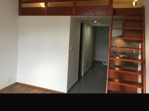 Pronájem bytu 1+kk, Praha - Vysočany, Freyova, 32 m2