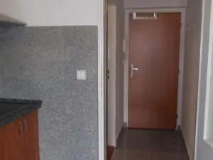 Pronájem bytu 1+kk, Praha - Vysočany, Freyova, 30 m2