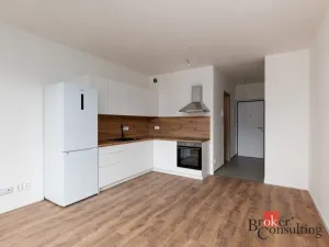 Prodej bytu 1+kk, Plzeň - Východní Předměstí, Kartónová, 29 m2