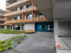 Prodej bytu 1+kk, Plzeň - Východní Předměstí, Kartónová, 29 m2