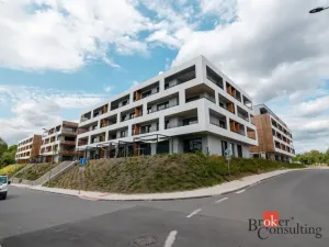 Prodej bytu 1+kk, Plzeň - Východní Předměstí, Kartónová, 29 m2