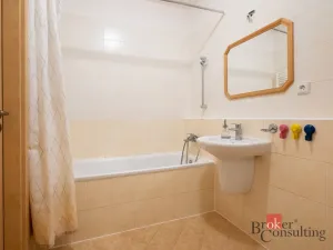 Prodej bytu 2+kk, Praha - Libeň, Nad Okrouhlíkem, 58 m2