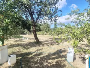 Pronájem zahrady, Mostkovice, 761 m2