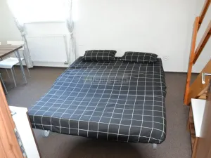 Prodej rodinného domu, Loučná nad Desnou - Kouty nad Desnou, 38 m2