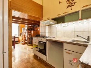 Prodej bytu 1+kk, Praha - Nusle, Spytihněvova, 24 m2