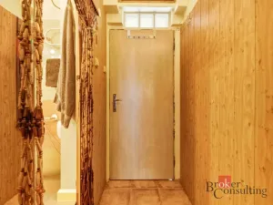 Prodej bytu 1+kk, Praha - Nusle, Spytihněvova, 24 m2