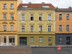 Prodej bytu 1+kk, Praha - Nusle, Spytihněvova, 24 m2