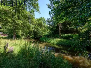 Prodej chaty, Ždírec - Žďár, 100 m2