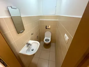 Pronájem bytu 2+kk, Brno, K Babě, 56 m2