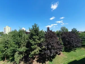 Pronájem bytu 3+1, Praha - Libeň, Společná, 80 m2