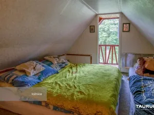 Prodej chaty, Stříbro - Butov, 85 m2