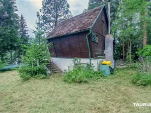 Prodej chaty, Stříbro - Butov, 85 m2