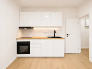 Prodej bytu 2+kk, Praha - Vršovice, U Slavie, 44 m2