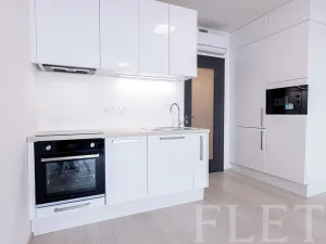 Pronájem bytu 1+kk, Praha - Žižkov, Jana Želivského, 33 m2