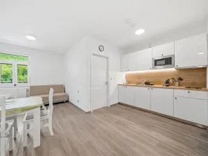 Prodej bytu 1+kk, Hardegg Stadt,Hardegg,Rakousko, 37 m2