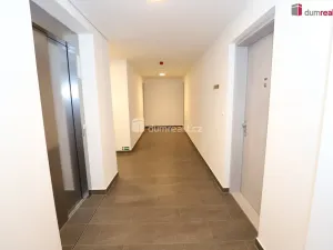 Prodej bytu 1+kk, Praha - Hloubětín, Domalípova, 38 m2