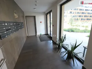 Prodej bytu 1+kk, Praha - Hloubětín, Domalípova, 38 m2